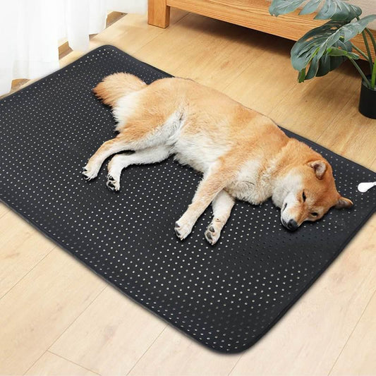 Pets Earthing Mat - Cats & Dogs - REJUVENATIONIST