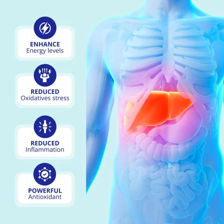 IONIZED WATER BOTTLE - REJUVENATIONIST